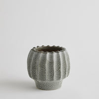 Echinus Vase Grey