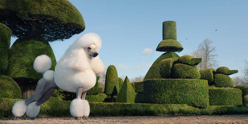 The Haute Hound: A Designer Pet Atelier