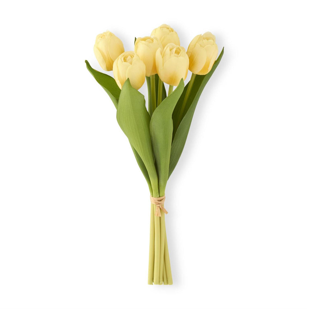 Bouquet of yellow tulips on a white background