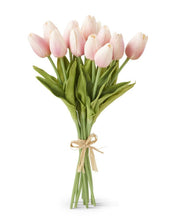 Bouquet of pink tulips with a beige ribbon on a white background