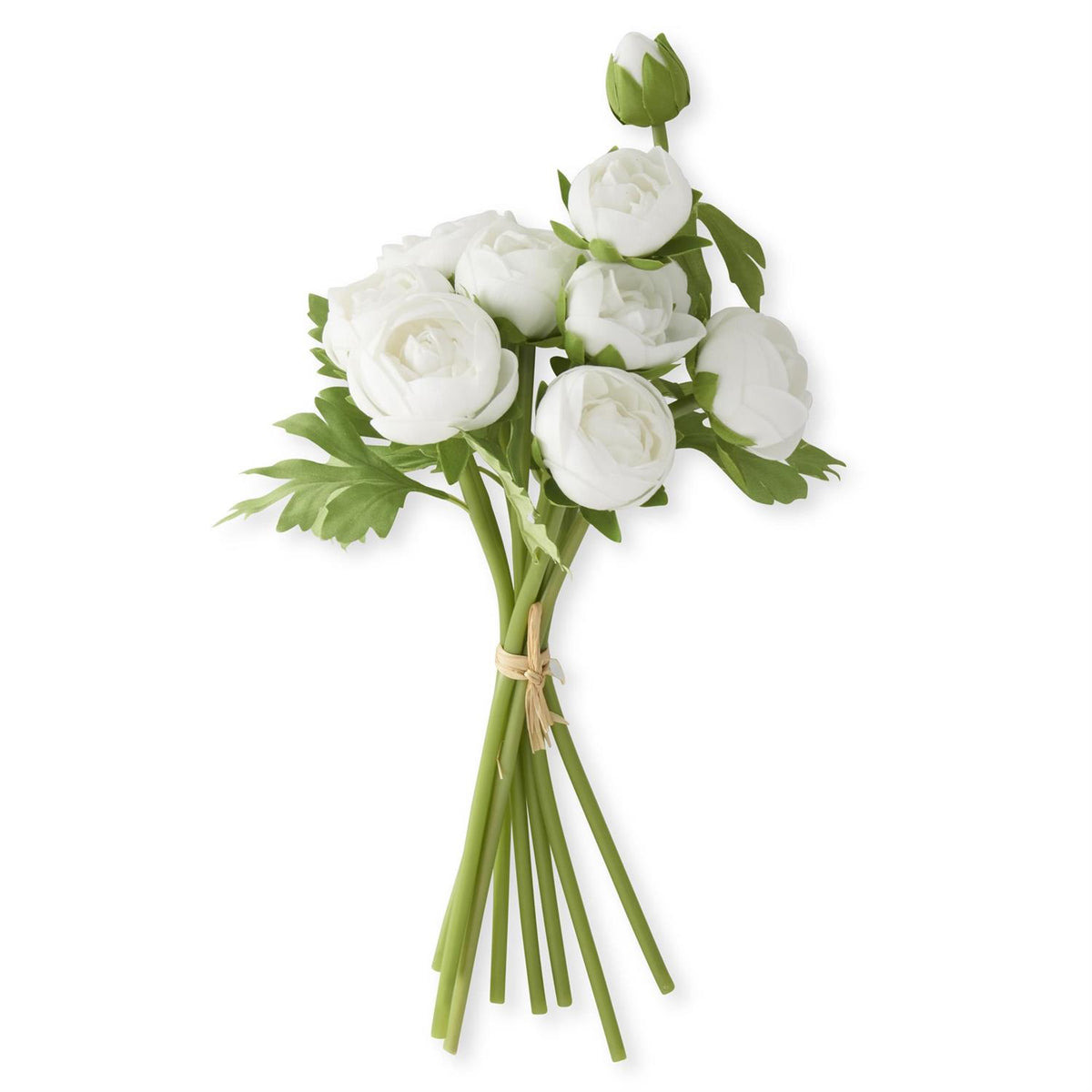Bouquet of white ranunculus flowers with green leaves on a white background