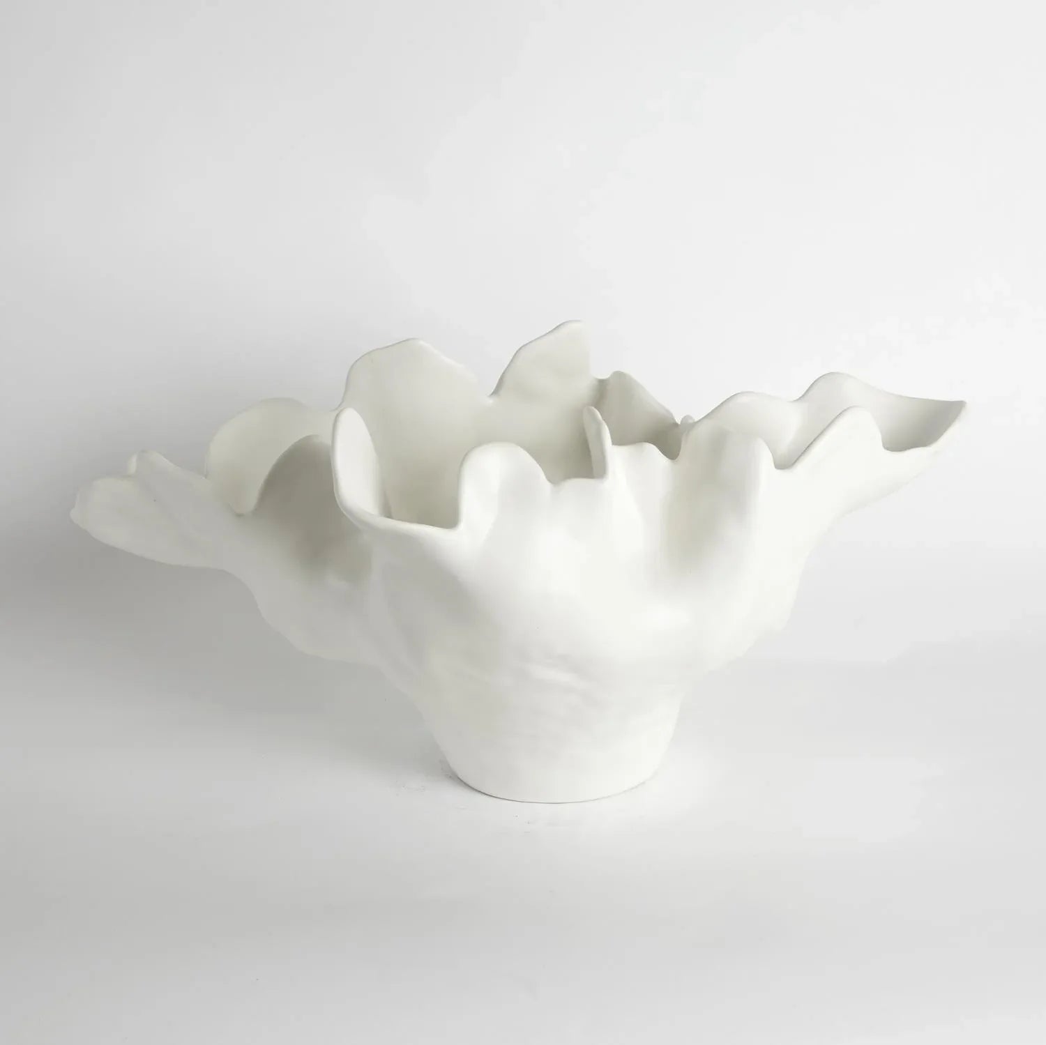 Meteor Bowl Ivory Medium Decorative Bowls