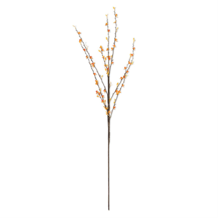 35" Light Orange Bittersweet Stem