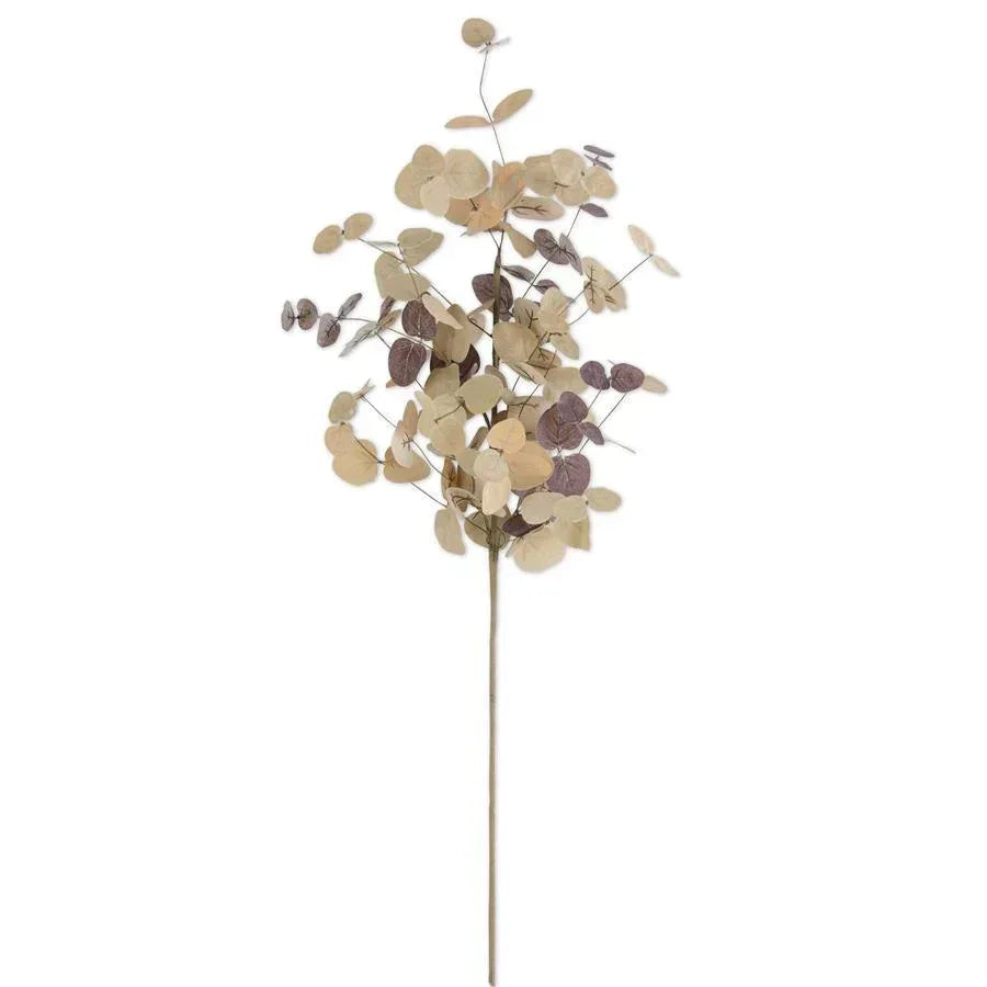 36" Tan Eucalyptus Stem Decor