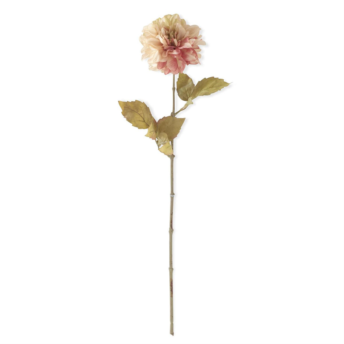 24.5" Coral Dahlia Stem