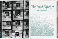Interior pages of Walter Chandoha Cats book with black-and-white cat portraits