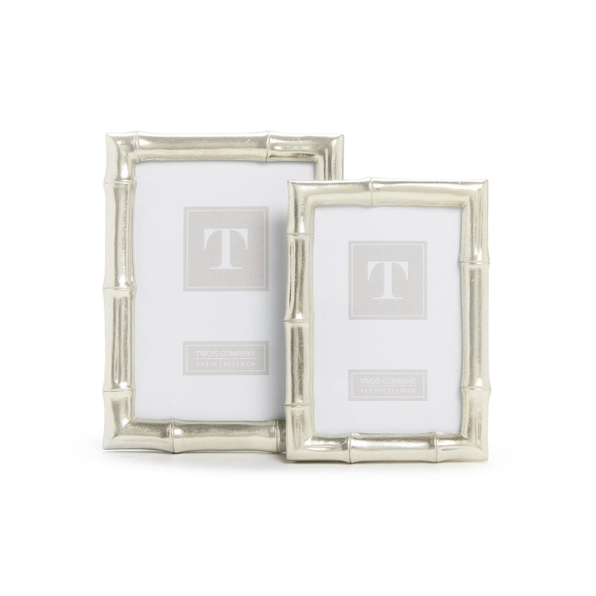 Silver Bamboo Photo Frame