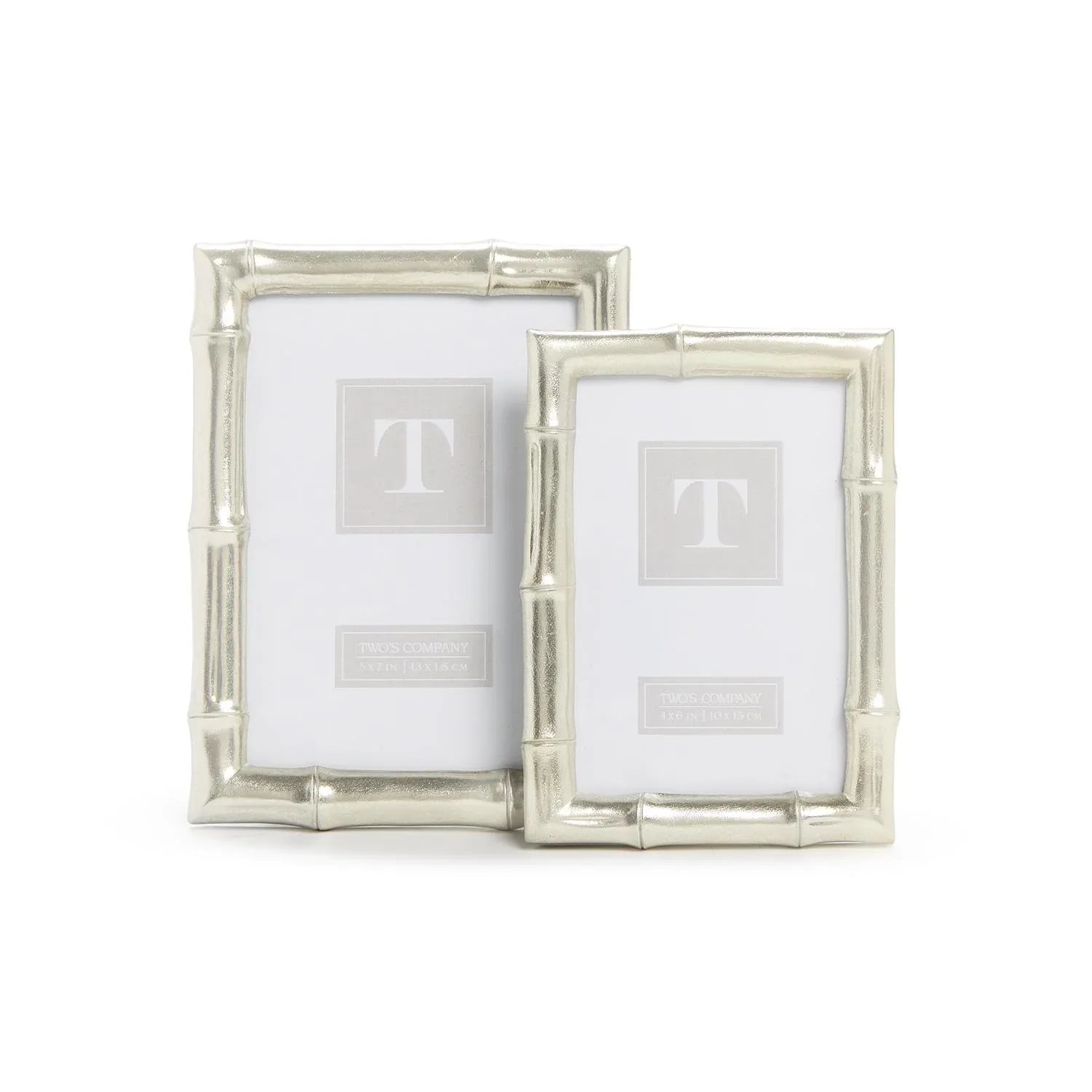 Silver Bamboo Photo Frame Frames