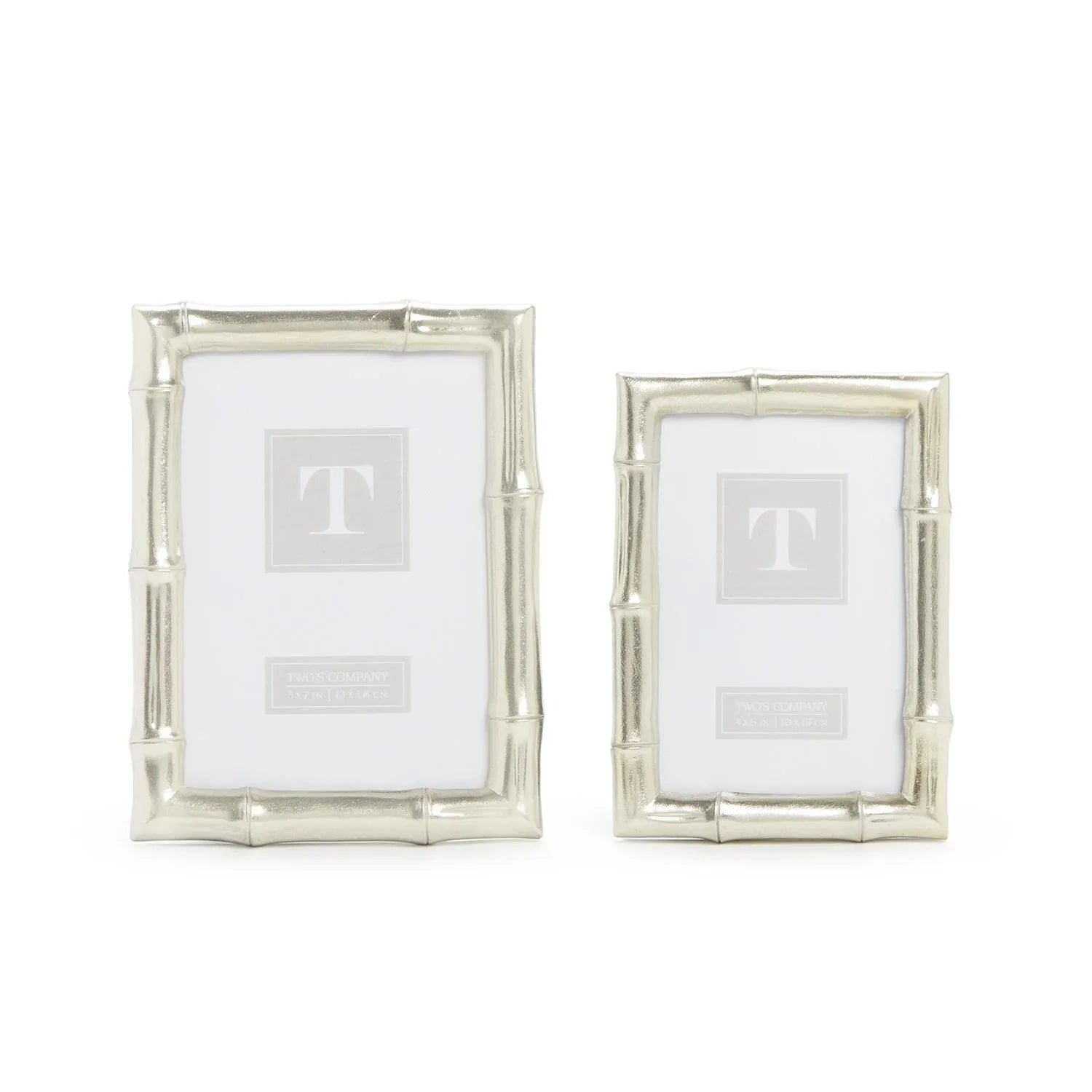 Silver Bamboo Photo Frame Frames