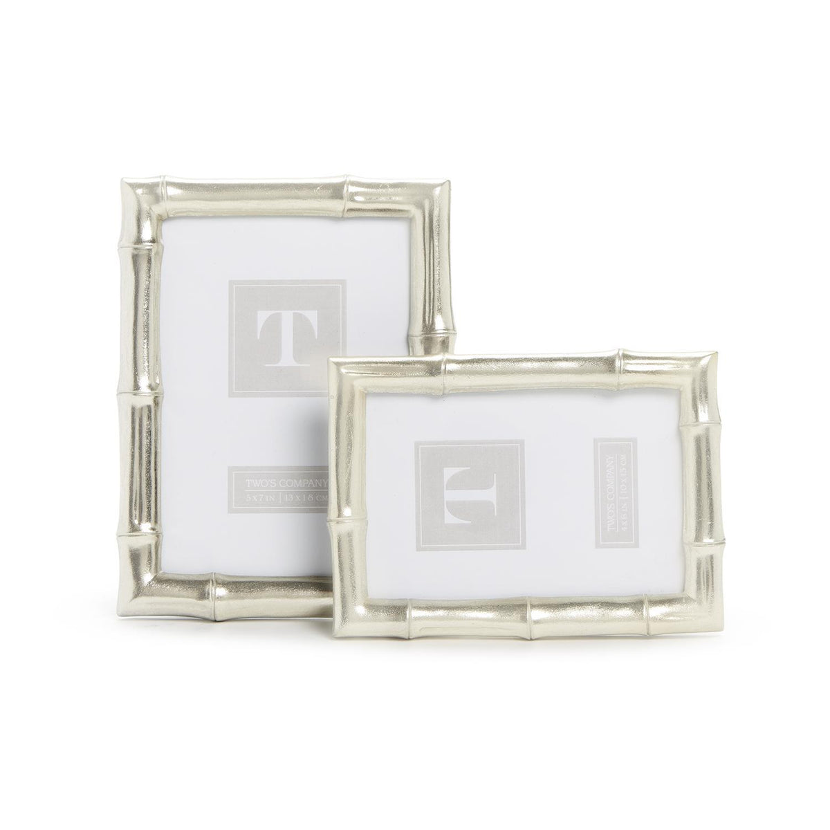 Silver Bamboo Photo Frame