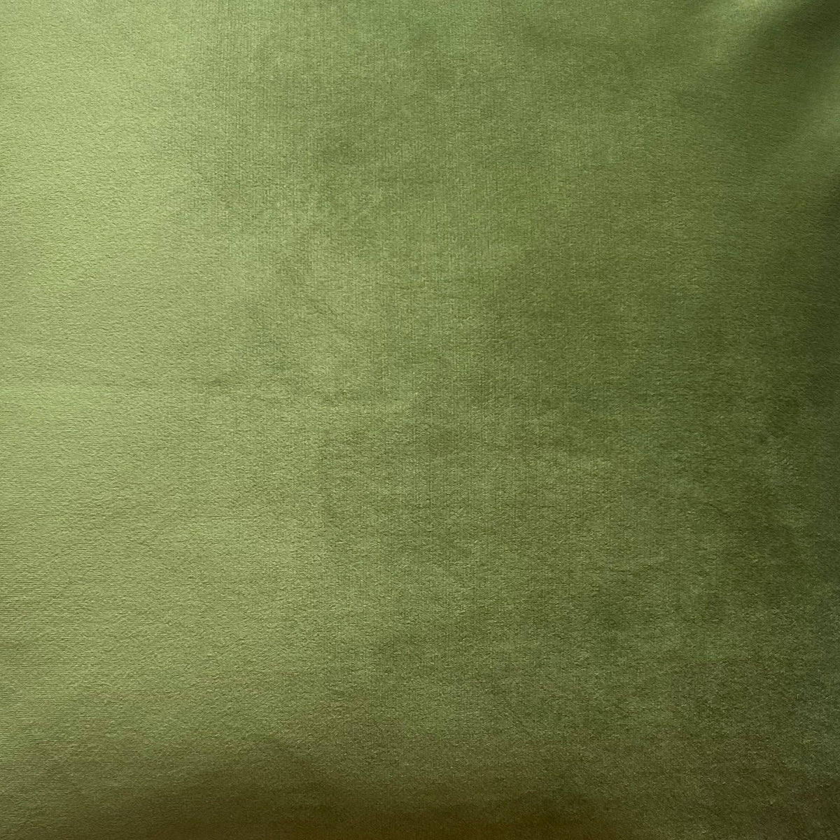 Julie Pillow