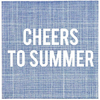 Cloth-Like Summer Napkin Packs