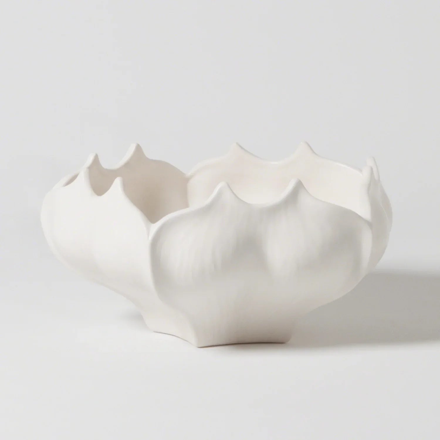 Audrie Bowl Decorative Bowls