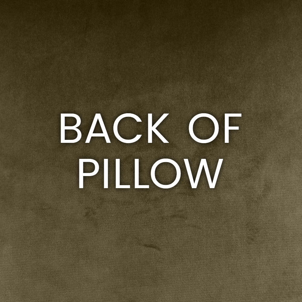 Text 'BACK OF PILLOW' on a textured brown background