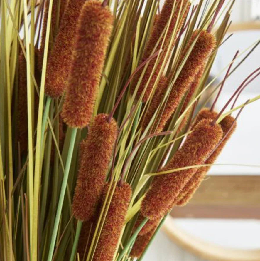 Decorative cattails with brown seed heads and green stems.