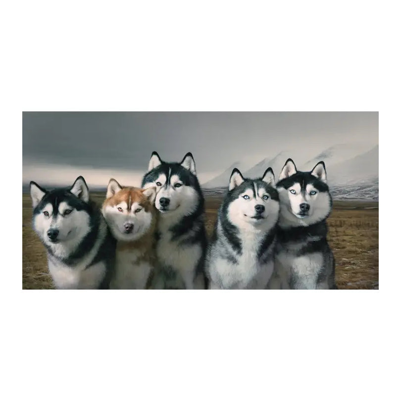 Dogs: The Ultimate Photographic Tribute
