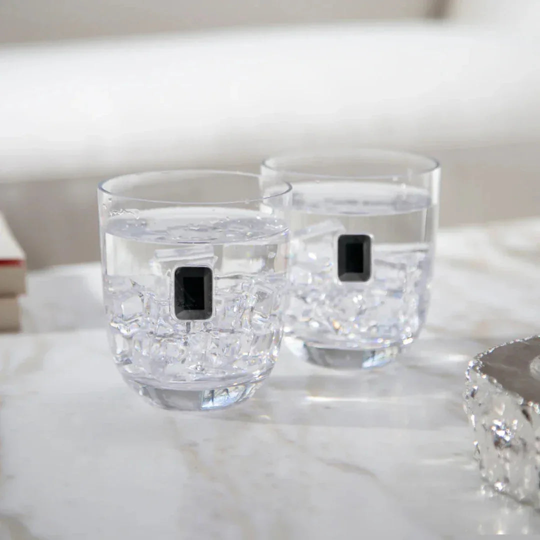 Elevo Luna Obsidian DOF Set of 2 Double Old-Fashioned