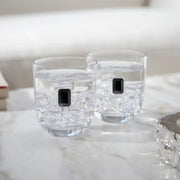 Elevo Luna Obsidian DOF Set of 2 Double Old-Fashioned