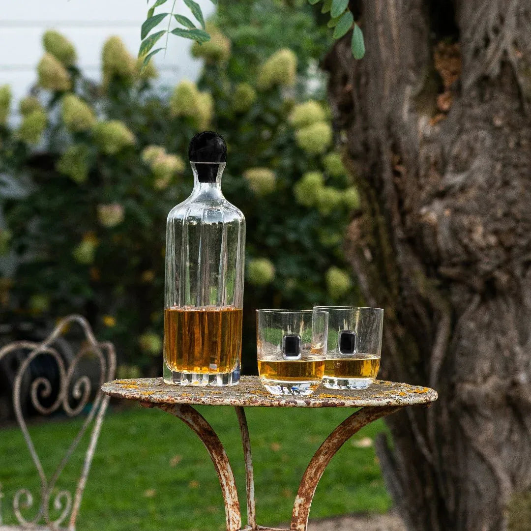 Elevo Luna Obsidian DOF Set of 2 Double Old-Fashioned