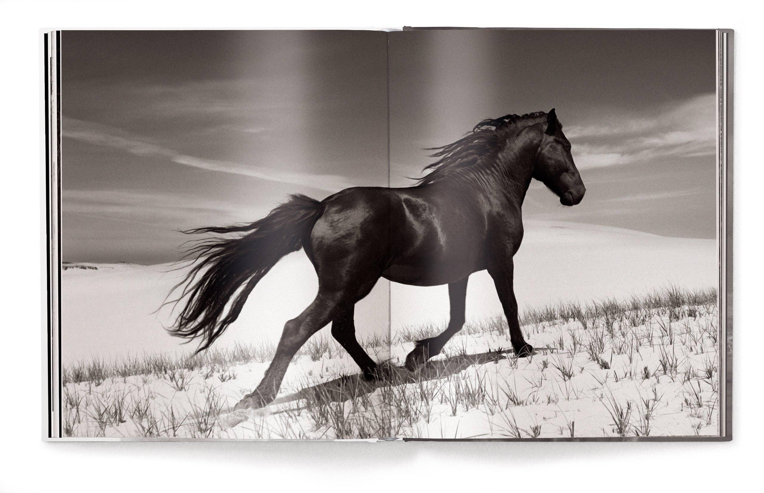 Open book showing a black and white photograph of a horse running in a field Equestrian Decor