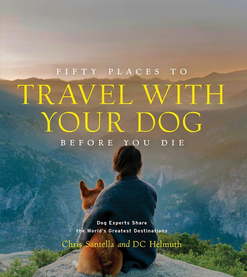 Book cover with a person and dog overlooking mountains and text about travel with dogs.