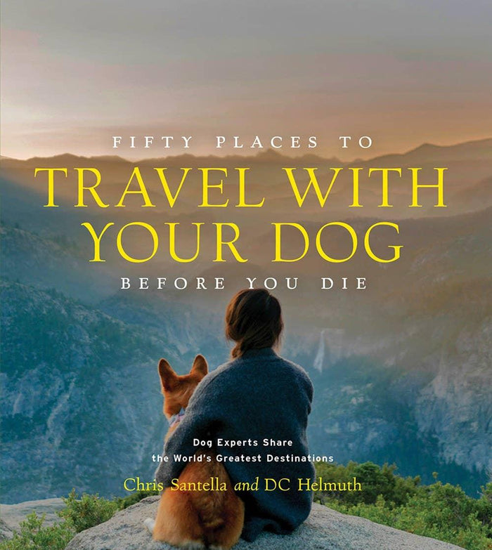 Book cover with a person and dog overlooking mountains and text about travel with dogs.