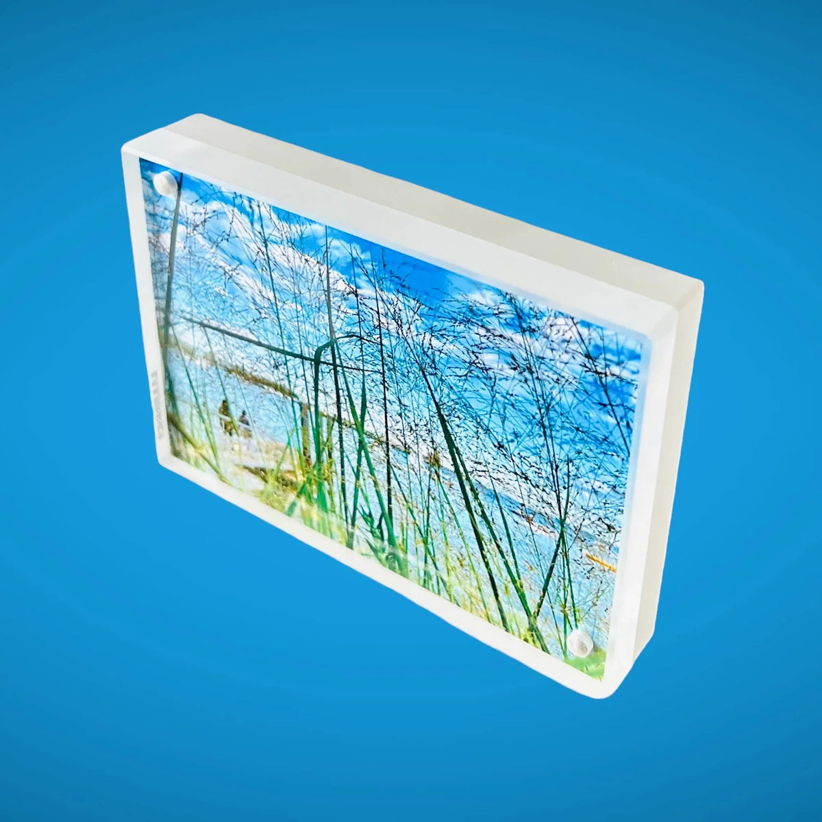 Rectangular Frosted white edge magnetic acrylic frame displaying  photos with a nature-themed design on a blue background