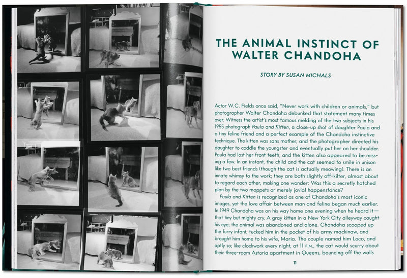 Open book showing black and white photos of  cats playing in the mirror and text about Walter Chandoha.