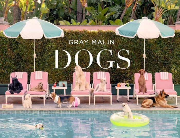 Book cover of 'DOGS' by Gray Malin with dogs around a pool and umbrellas.