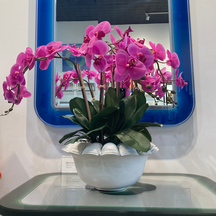 Pink orchid in a white pot on a glass table with a blue-framed mirror in the background.