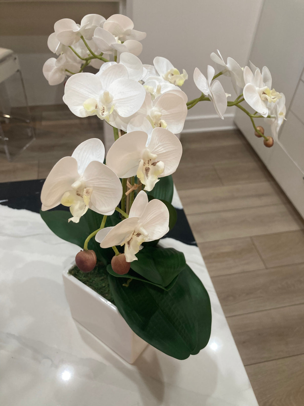 White Orchid Arrangement