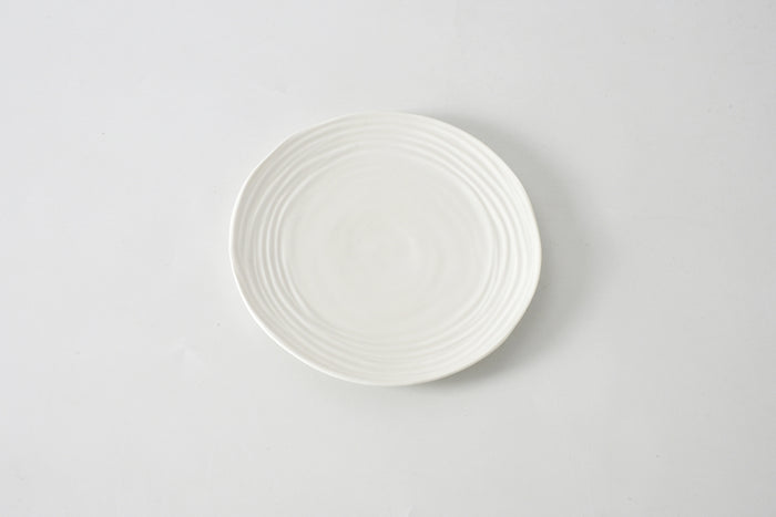 White ceramic plate on a light gray background