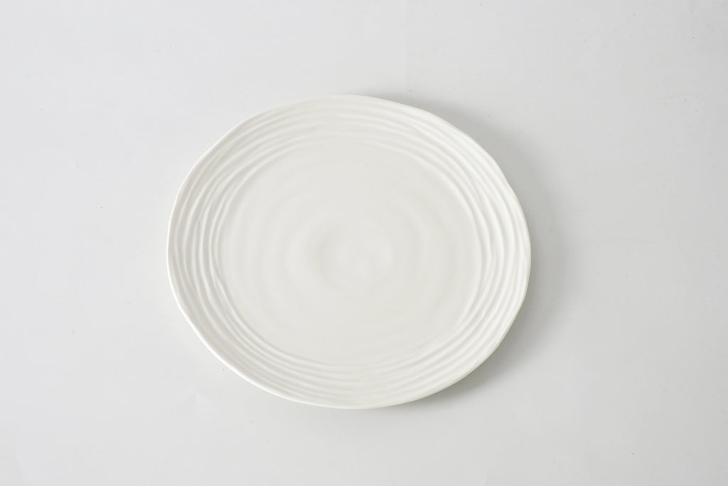White ceramic plate on a light gray background