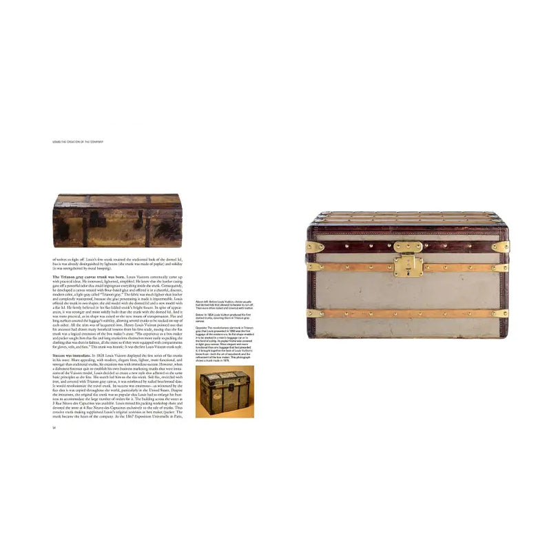 Louis Vuitton: The Birth of Modern Luxury (Updated Edition)