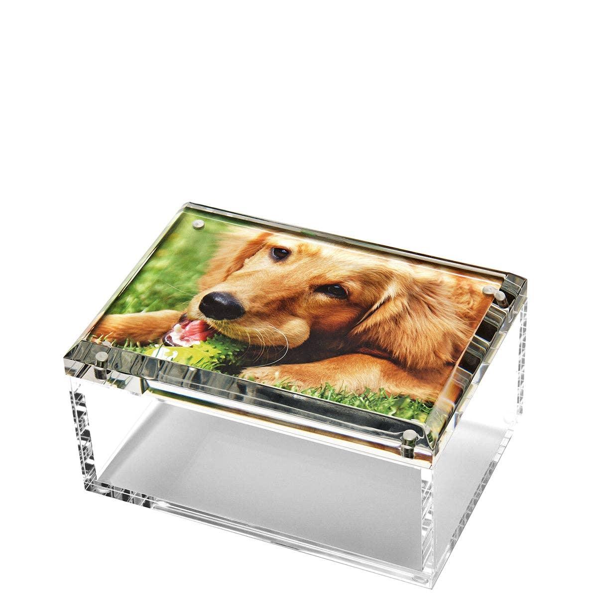 Clear decorative photo storage box with a dog design on a white background
