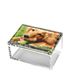 Clear decorative photo storage box with a dog design on a white background