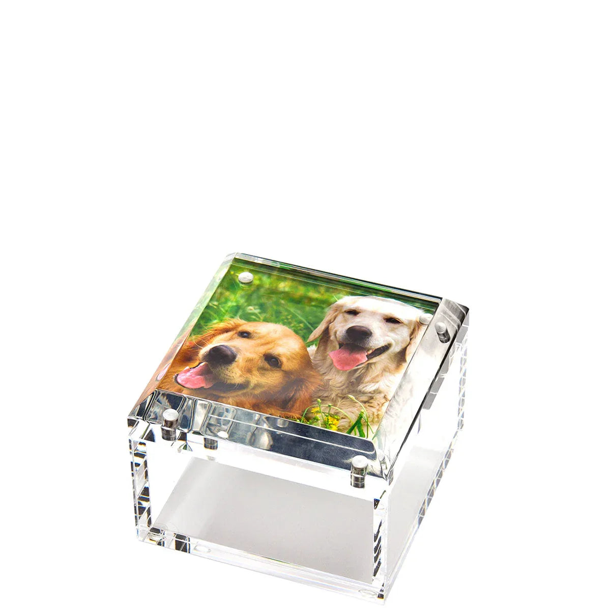 Clear crystal block Lucite Photo Box 4x4 Acrylic with a photo of two dogs on a white background