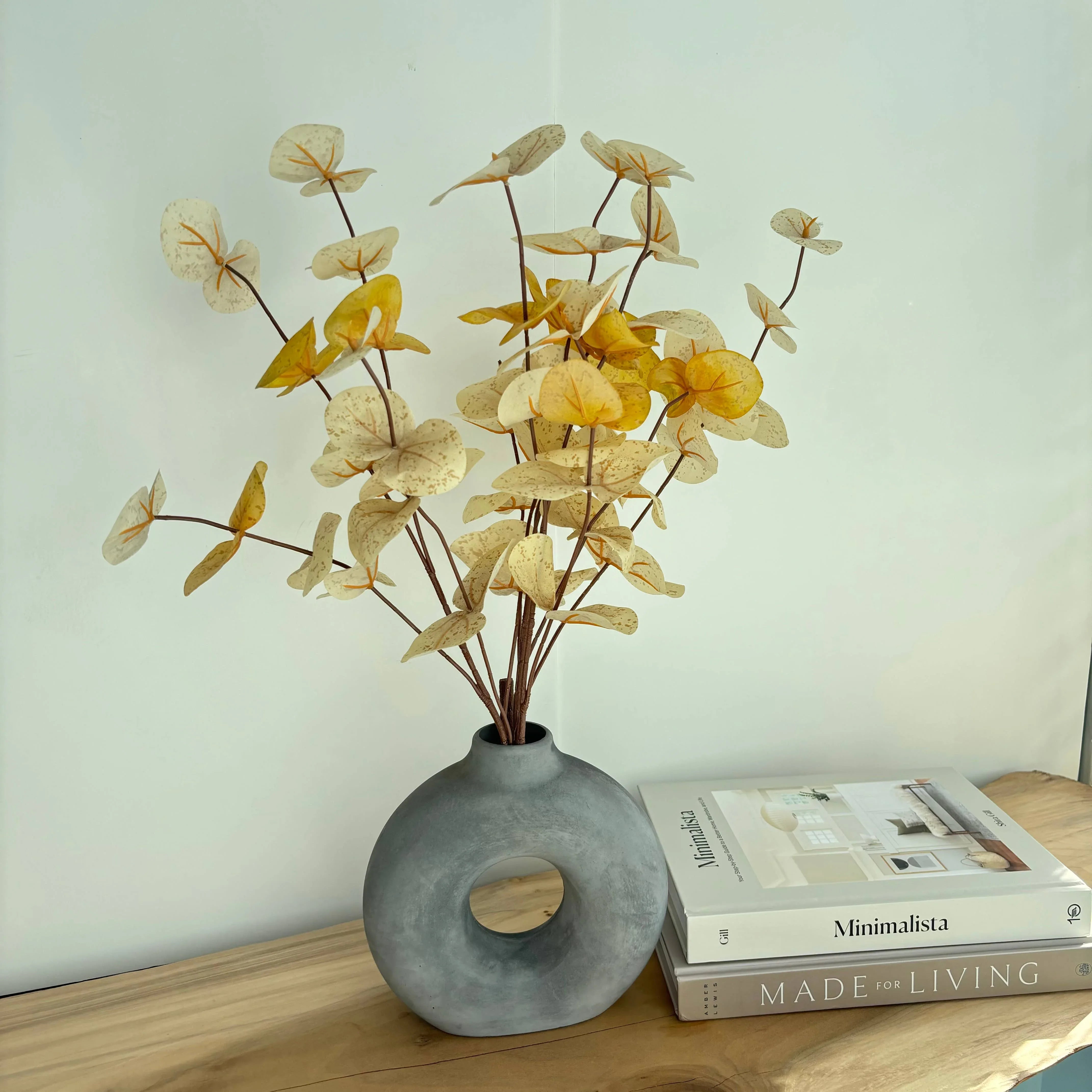 Decorative plant in a gray vase on a wooden surface with books in the background