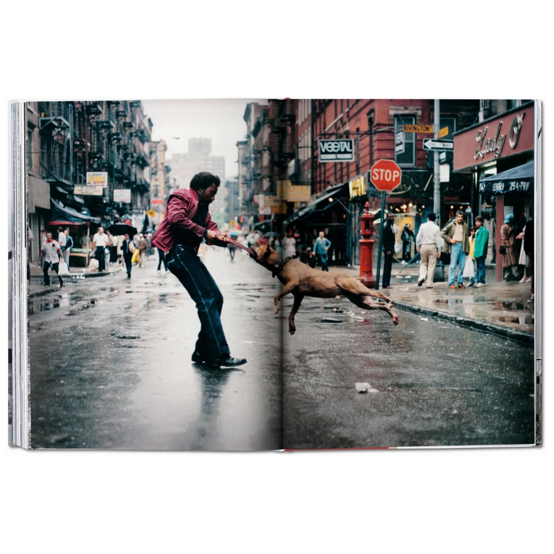 open book spread of a man and a dog in NYC 