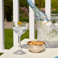 Vintner Nick & Nora Glass