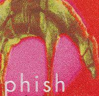 Phish, Hoist