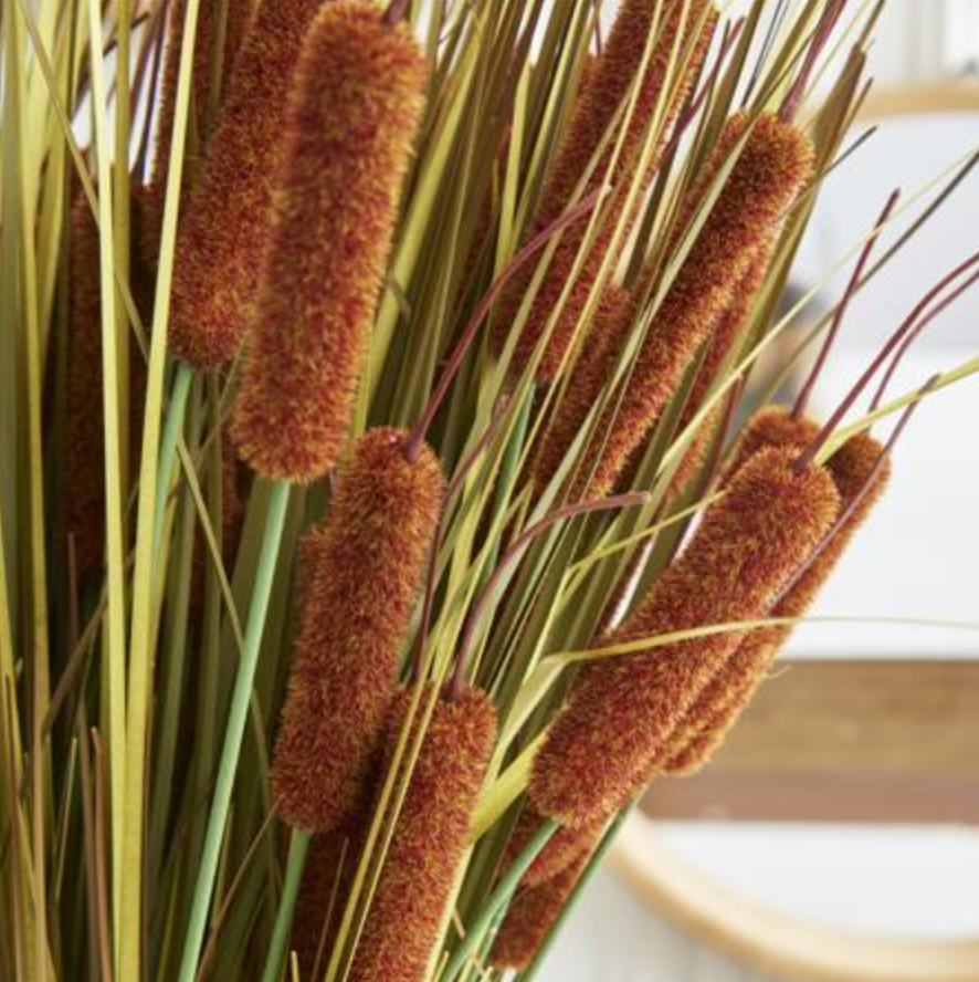 25" Light Brown 5 Head Cattail Stem