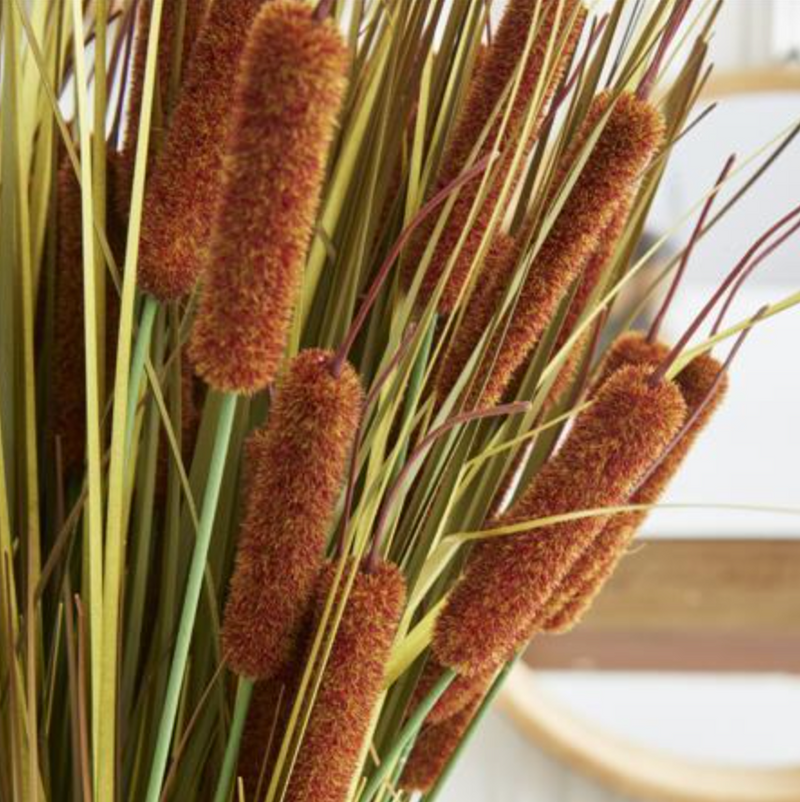 25" Light Brown 5 Head Cattail Stem