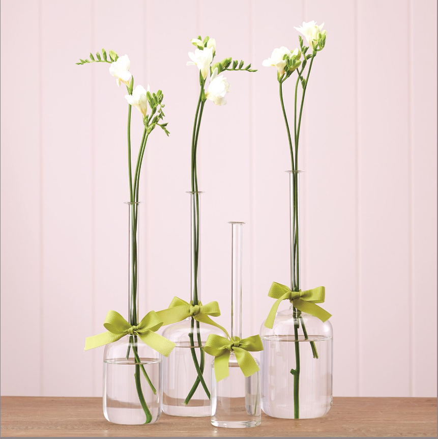 Long Stem Jug Vase Set of 4