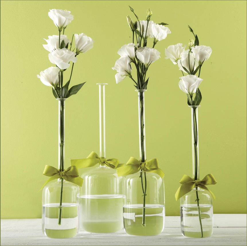 Long Stem Jug Vase Set of 4