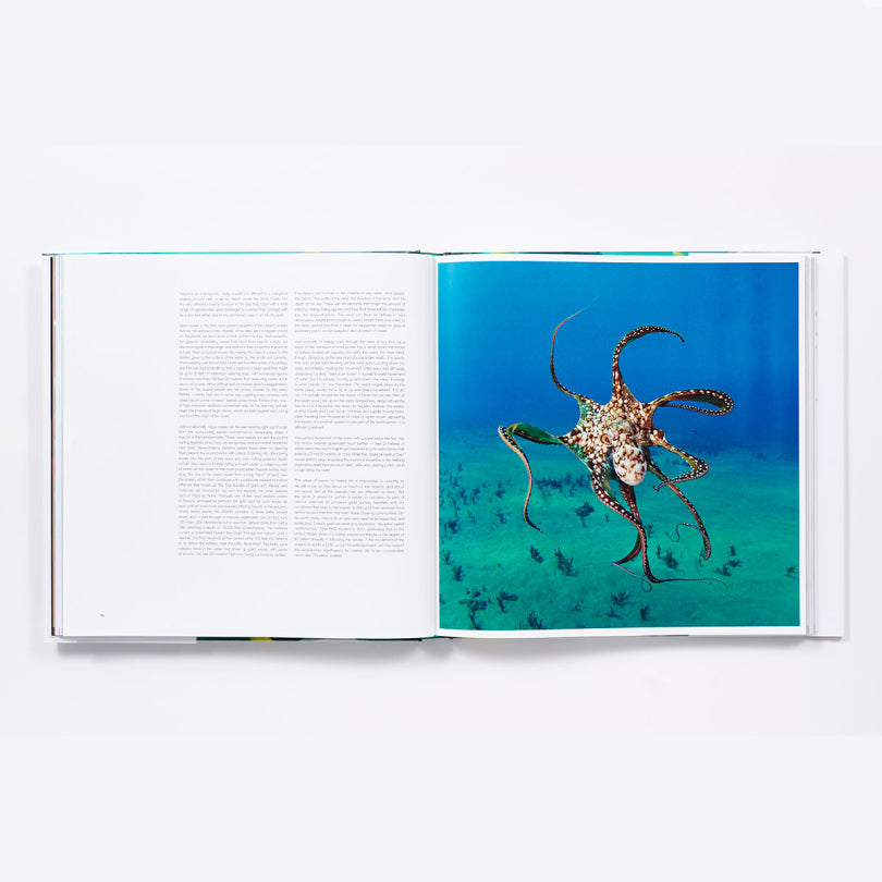 The Life & Love of the Sea