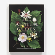 The Scentual Garden: A Guide to Fragrant Plants