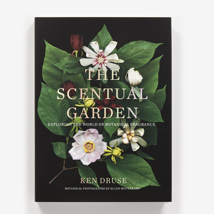 The Scentual Garden: A Guide to Fragrant Plants