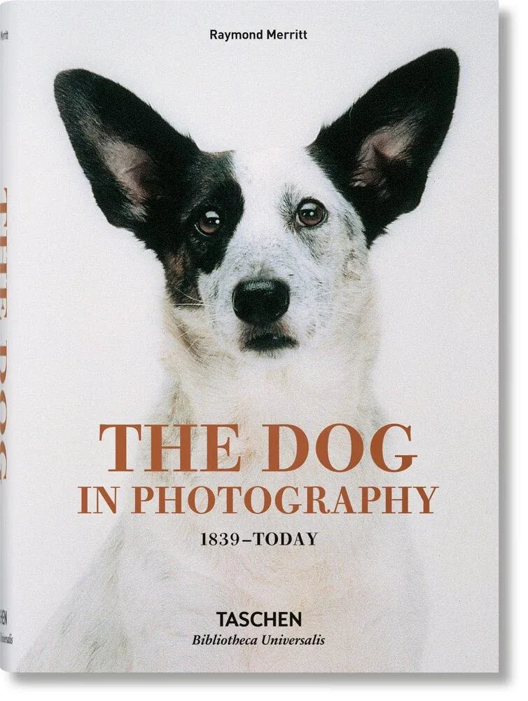 Book cover of 'The Dog in Photography 1839-Today' by Taschen with a black and white dog illustration.