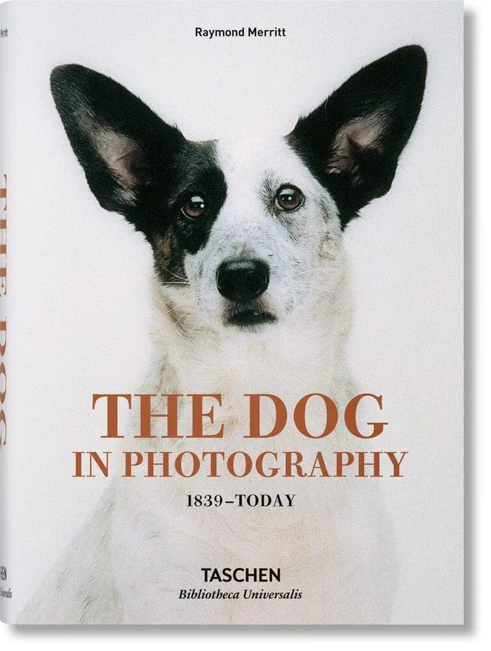 Book cover of 'The Dog in Photography 1839-Today' by Taschen with a black and white dog illustration.